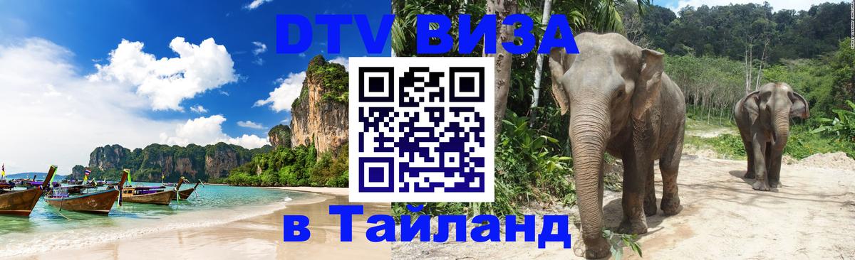 Сколько стоит DTV виза — актуальные цены, оформление даже без документов - Ватикан 